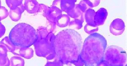 前沿技术文章插图